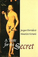 Jacques Derrida, Maurizio Ferraris, Jacques (Ecole Pratique des Hautes-Etudes en Sciences Sociales in Paris) Derrida, Maurizio (University of Turin) Ferraris - Taste for the Secret, Häftad