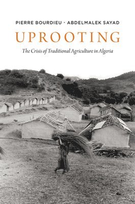 Pierre Bourdieu, Abdelmayek Sayad, Pierre (College de France) Bourdieu - Uprooting, Häftad