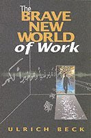 Ulrich Beck - Brave New World of Work, Häftad