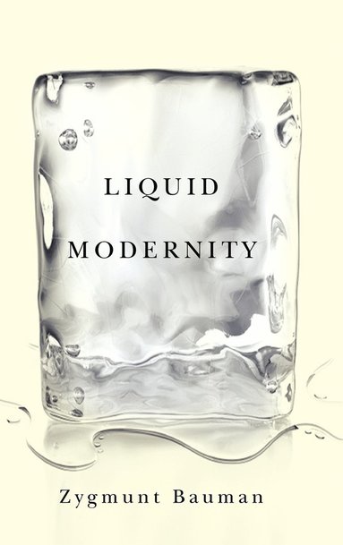 bokomslag Liquid Modernity