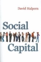 bokomslag Social Capital