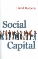 David Halpern - Social Capital, Inbunden