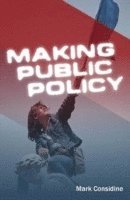 bokomslag Making Public Policy