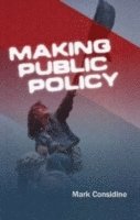 bokomslag Making Public Policy: Institutions, Actors, Strategies