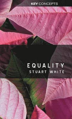 Stuart White - Equality, Inbunden