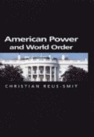 bokomslag American Power and World Order