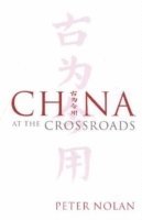 Peter Nolan - China at the Crossroads, Häftad