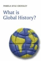 bokomslag What is Global History?