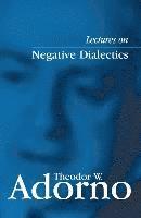 bokomslag Lectures on Negative Dialectics