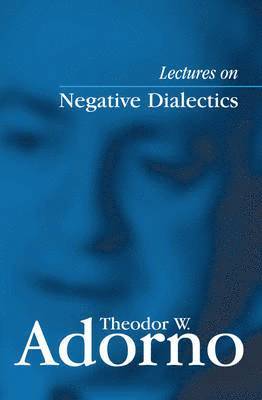 Theodor W. Adorno, Rolf Tiedemann - Lectures on Negative Dialectics, Häftad
