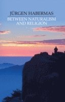 bokomslag Between Naturalism and Religion