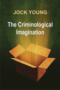 bokomslag Criminological Imagination