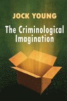 bokomslag Criminological Imagination