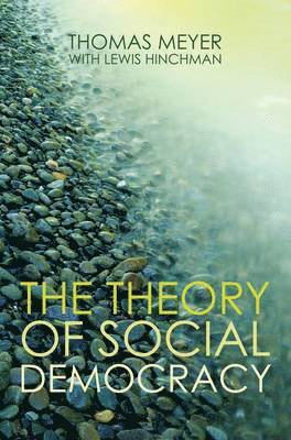 bokomslag The Theory of Social Democracy