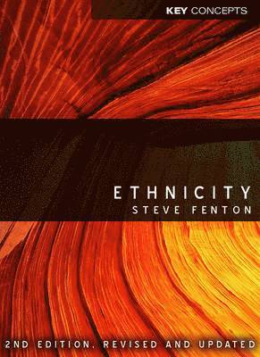 Steve Fenton - Ethnicity, Inbunden