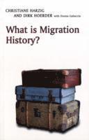 bokomslag What is Migration History?