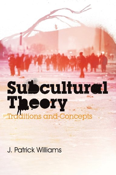 J. Patrick Williams - Subcultural Theory, Häftad
