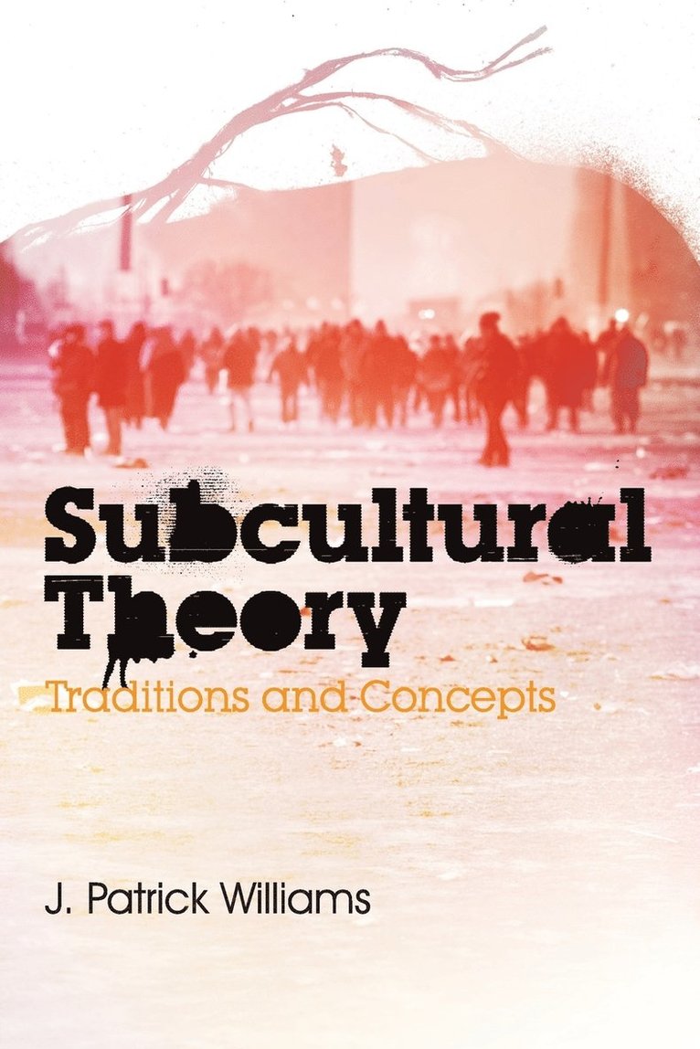 Subcultural Theory 1