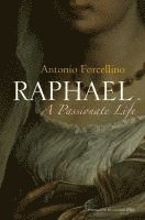 bokomslag Raphael