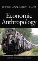 bokomslag Economic Anthropology