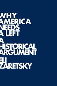 bokomslag Why America Needs a Left