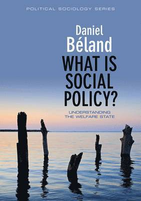 Daniel Béland - What is Social Policy?, Inbunden