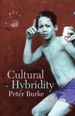 bokomslag Cultural Hybridity