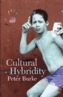bokomslag Cultural Hybridity