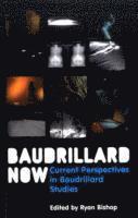 Ryan Bishop - Baudrillard Now, Häftad