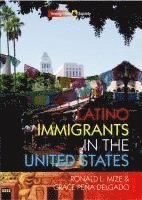Ronald L. Mize, Grace Peña Delgado - Latino Immigrants in the United States, Inbunden