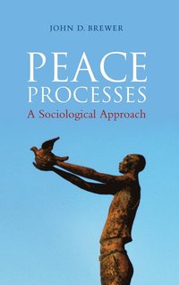 bokomslag Peace Processes