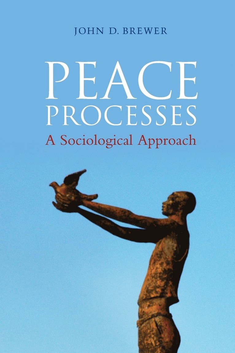 John D. Brewer, John D Brewer - Peace Processes, Häftad
