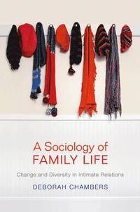 bokomslag A Sociology of Family Life