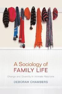 bokomslag A Sociology of Family Life