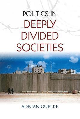 Politics in Deeply Divided Societies 1