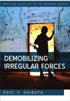 bokomslag Demobilizing Irregular Forces