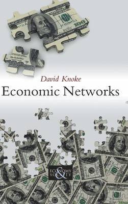 David Knoke - Economic Networks, Inbunden