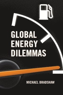 Mike Bradshaw - Global Energy Dilemmas, Häftad