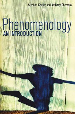 bokomslag Phenomenology