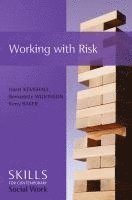 bokomslag Working with Risk