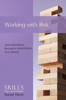 Hazel Kemshall, Bernadette Wilkinson, Kerry Baker - Working with Risk, Häftad