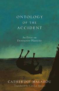 bokomslag The Ontology of the Accident