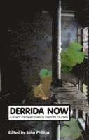 bokomslag Derrida Now