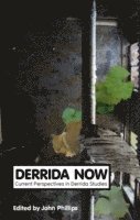 Derrida Now 1