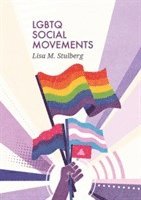 Lisa M. Stulberg - LGBTQ Social Movements, Häftad