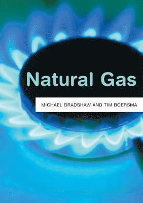 bokomslag Natural Gas