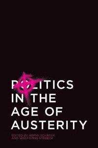 bokomslag Politics in the Age of Austerity