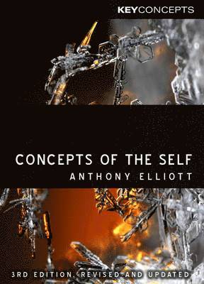 bokomslag Concepts of the Self