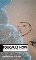 bokomslag Foucault Now