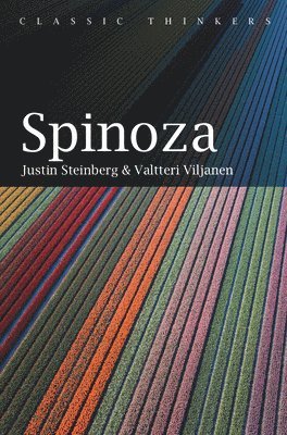 bokomslag Spinoza